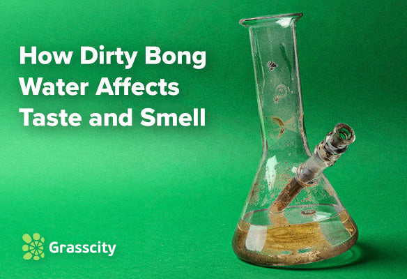 Dirty Bong Water: How It Ruins Taste & Smell
