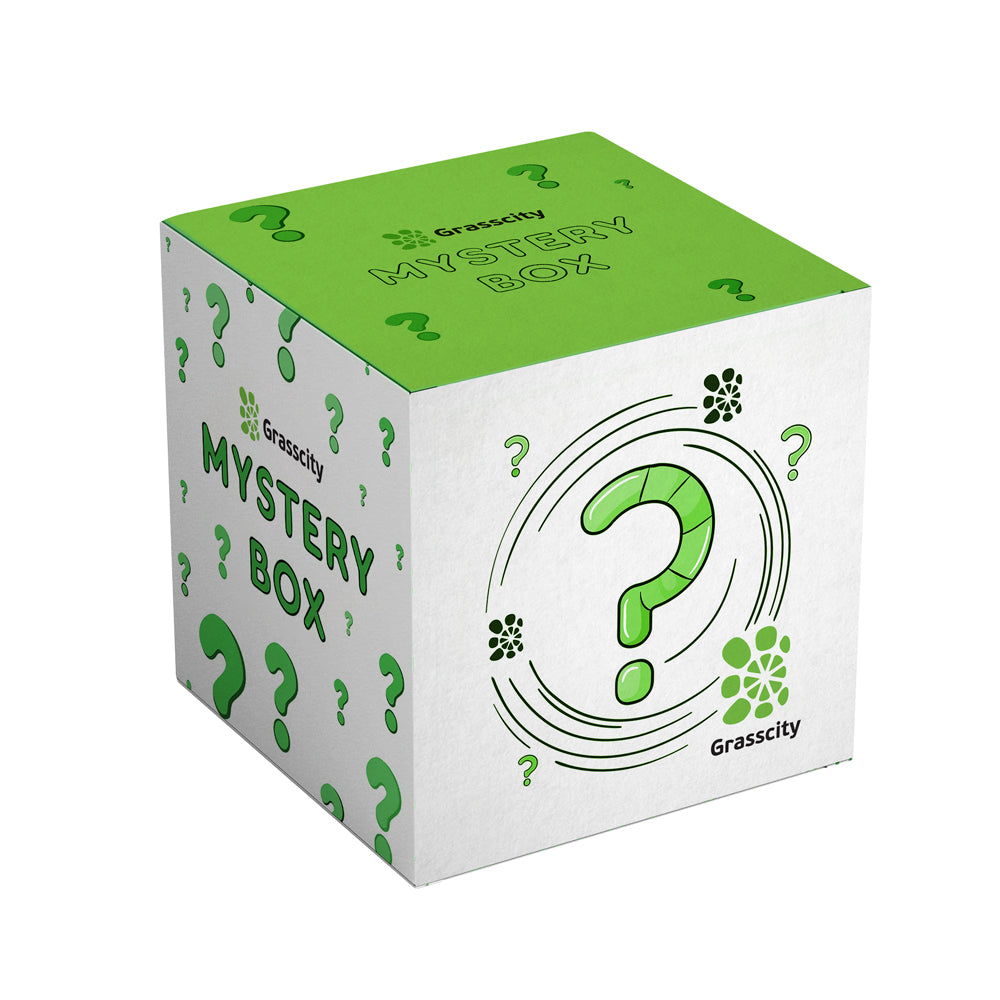 GC Mystery Box