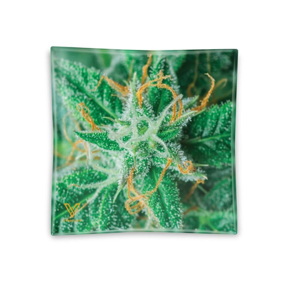 V Syndicate Blazin Glass Ashtray