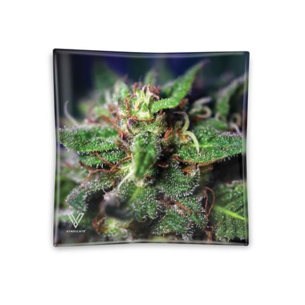 V Syndicate Blazin Glass Ashtray | Blue Dream